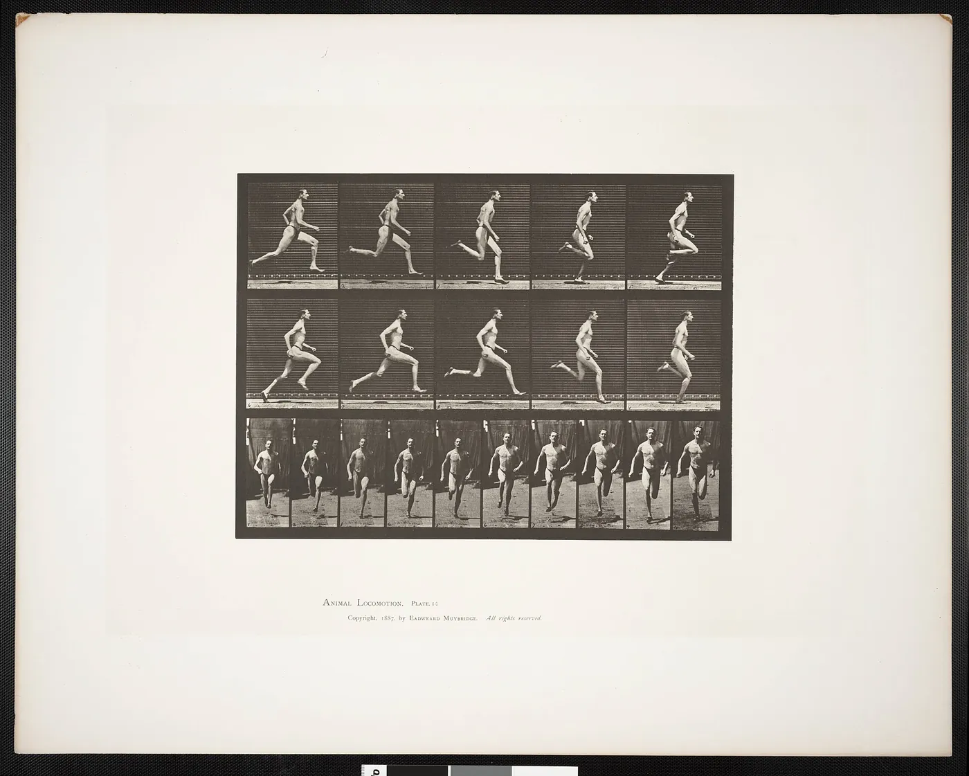 Man in pelvis cloth running at a half-mile gait (rbm-QP301M8-1887-060)