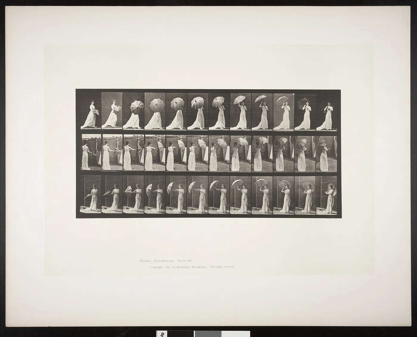 Draped woman opening a parasol and turning around (rbm-QP301M8-1887-461)