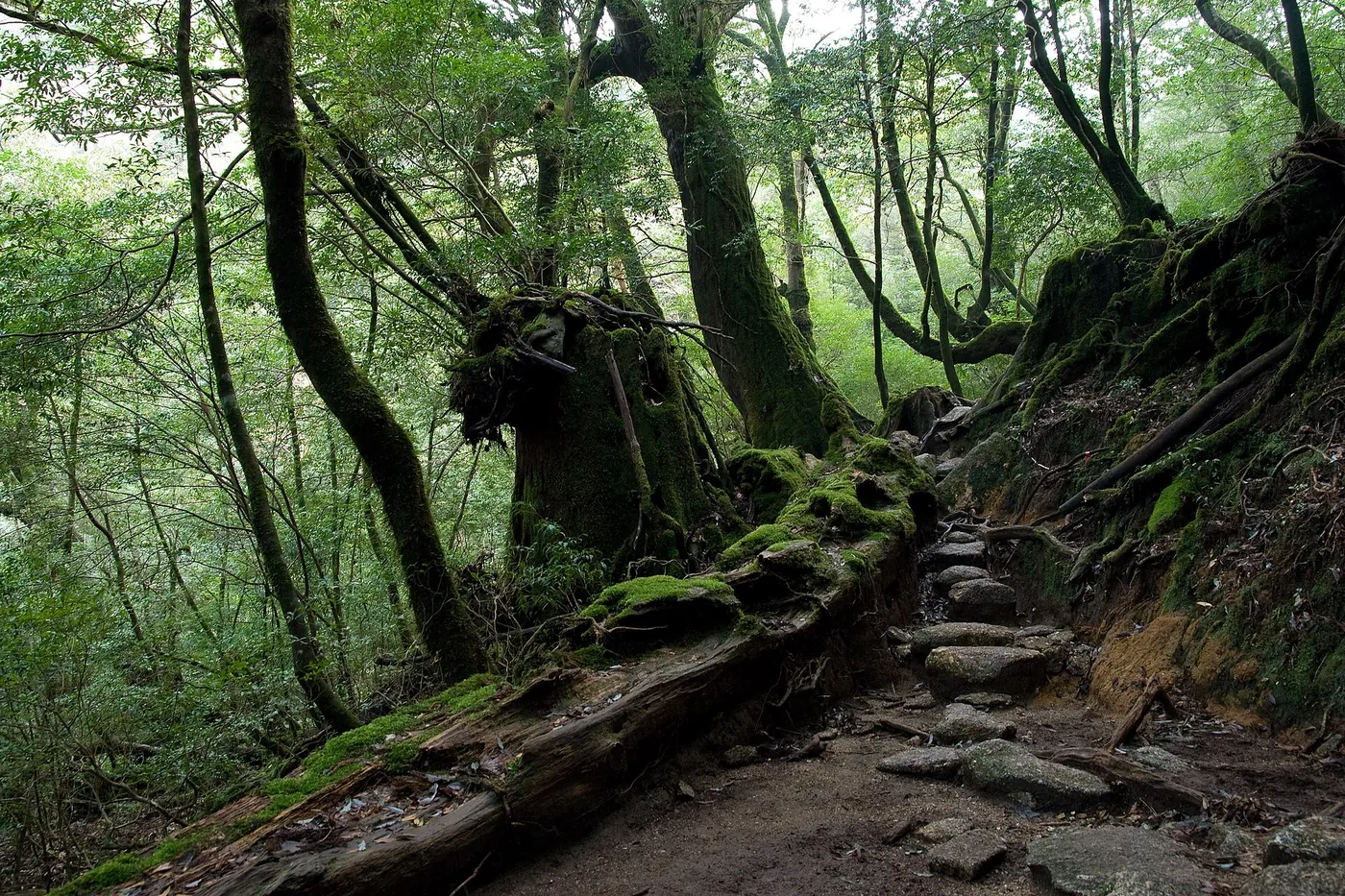 Shiratani Unsui Gorge 11