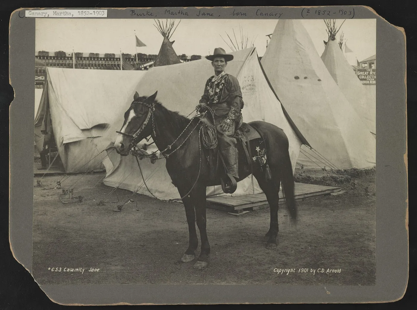 Calamity Jane LCCN2005688173