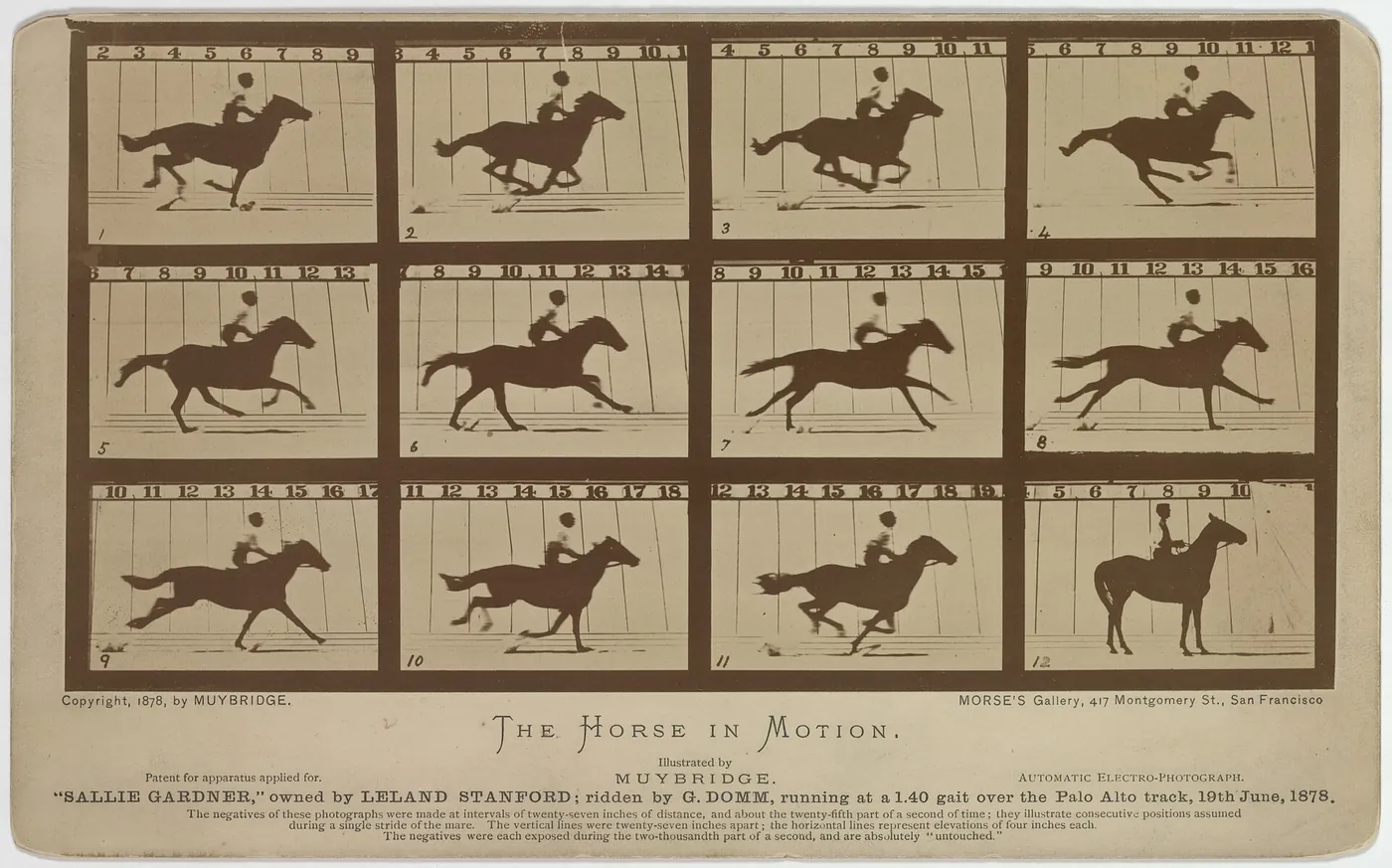 Eadweard Muybridge-Sallie Gardner 1878